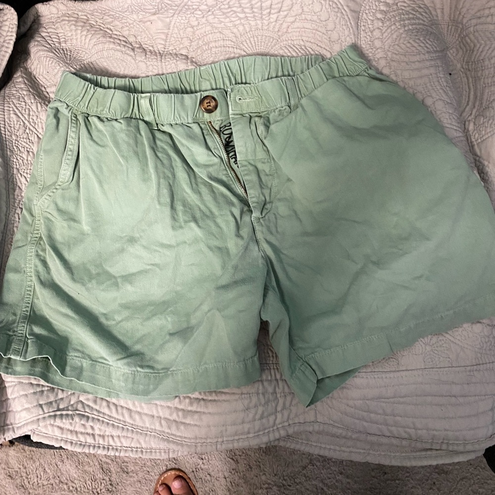 Men’s Chubbies 5.5 Inseam Shorts